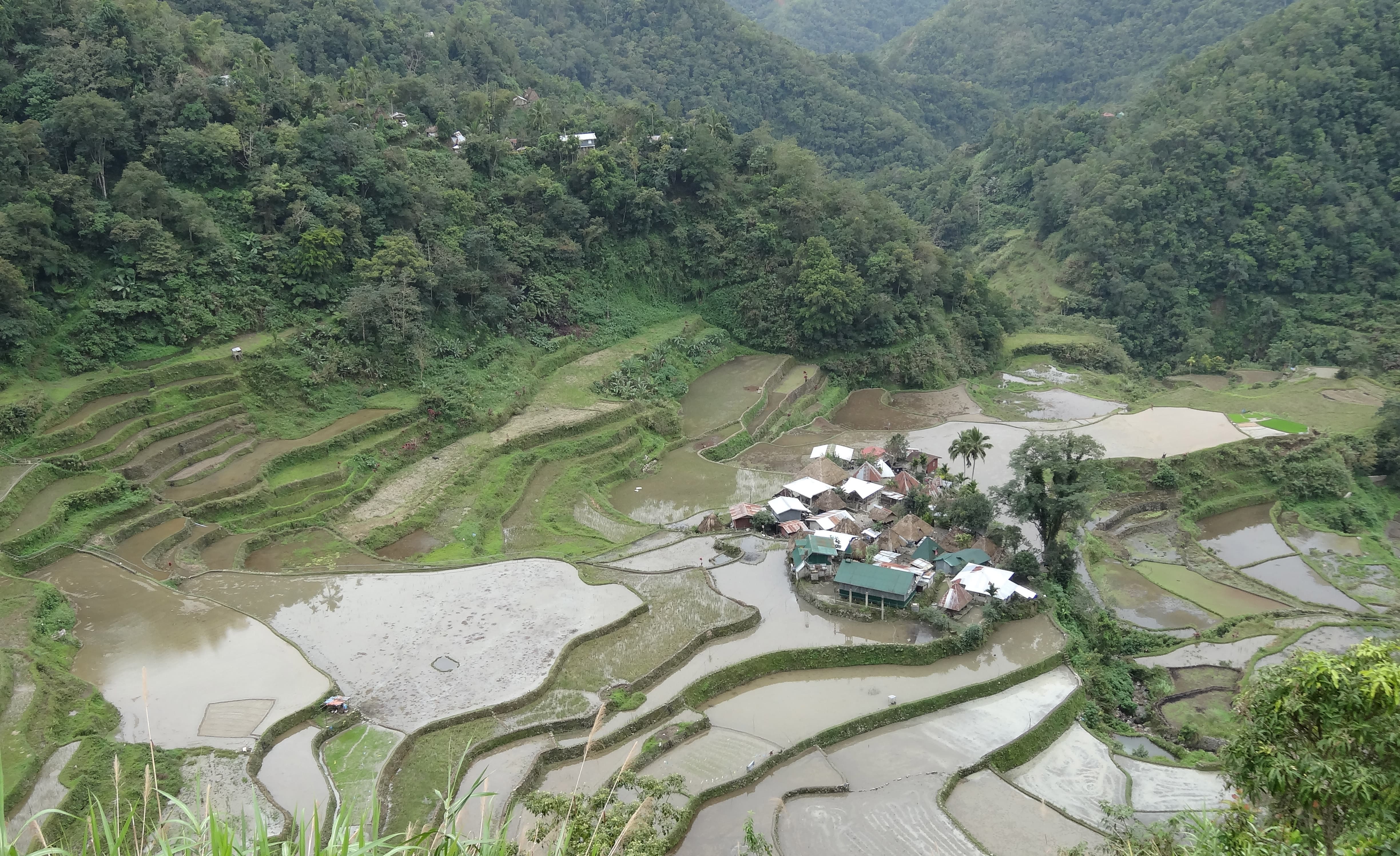フィリピン ルソン セブ バギオ バナウェ ボホール